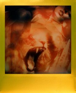 <b>Golden ecstasy</b> - polaroid couleur, 10,7x8,8 cm, exemplaire unique, 2019-2020