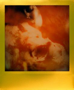 <b>Golden ecstasy</b> - polaroid couleur, 10,7x8,8 cm, exemplaire unique, 2019-2020