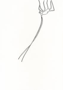 <b>Sans titre</b> - (2006 à 1972), encre de Chine et sanguine sur papier, 29,7x21 cm, 2006