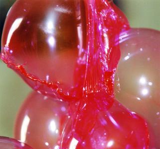 <b>Sans titre</b> - (Noos), détail