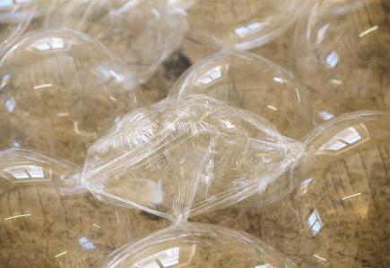 <b>Sans titre</b> - (Noos), détail