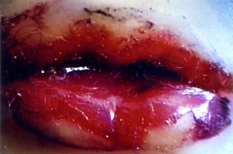 <b>M.F.D.D.</b> - photographie couleur, deux formats: 30x45 cm et 66,5x100 cm, édition: 3 et 2 e.a., 1998