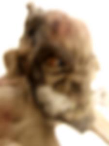 <b>Monstre 3</b> - photographie couleur, 40x30 cm, édition: 3 et 2 e.a., 2006