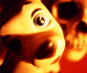 <b>Plaine</b> - photographie couleur, 50x60 cm, édition: 1 et 1 e.a., 1996