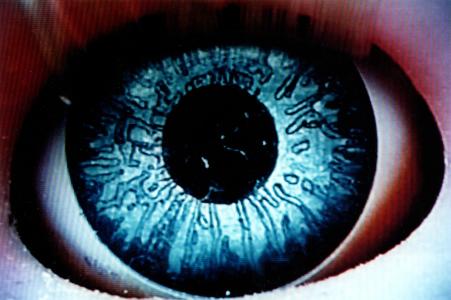 <b>Rocco</b> - photographie couleur, deux formats: 40x60 cm et 66,5x100 cm, édition: 3 et 2 e.a., 1998