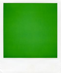 <b>The border</b> - color polaroid, 10,7x8,8 cm, single print, 2003-2007