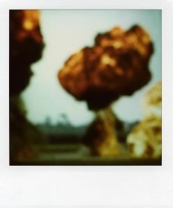 <b>The border</b> - color polaroid, 10,7x8,8 cm, single print, 2003-2007