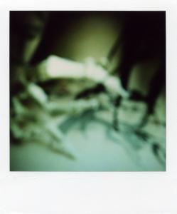 <b>The border</b> - color polaroid, 10,7x8,8 cm, single print, 2003-2007