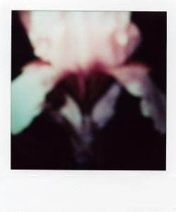 <b>The border</b> - color polaroid, 10,7x8,8 cm, single print, 2003-2007