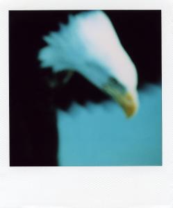 <b>The border</b> - color polaroid, 10,7x8,8 cm, single print, 2003-2007