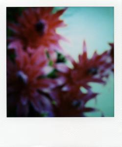 <b>The border</b> - color polaroid, 10,7x8,8 cm, single print, 2003-2007