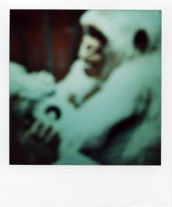 <b>The border</b> - color polaroid, 10,7x8,8 cm, single print, 2003-2007