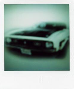 <b>The border</b> - color polaroid, 10,7x8,8 cm, single print, 2003-2007