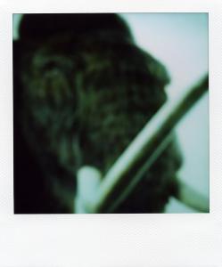 <b>The border</b> - color polaroid, 10,7x8,8 cm, single print, 2003-2007