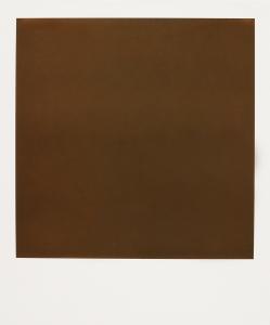 <b>The border</b> - color polaroid, 10,7x8,8 cm, single print, 2003-2007