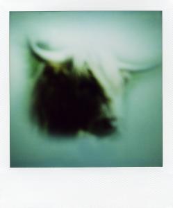 <b>The border</b> - color polaroid, 10,7x8,8 cm, single print, 2003-2007