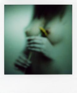 <b>The border</b> - color polaroid, 10,7x8,8 cm, single print, 2003-2007