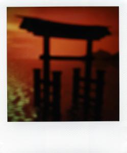 <b>The border</b> - color polaroid, 10,7x8,8 cm, single print, 2003-2007