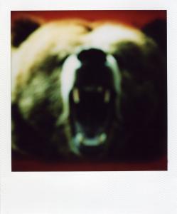 <b>The border</b> - color polaroid, 10,7x8,8 cm, single print, 2003-2007